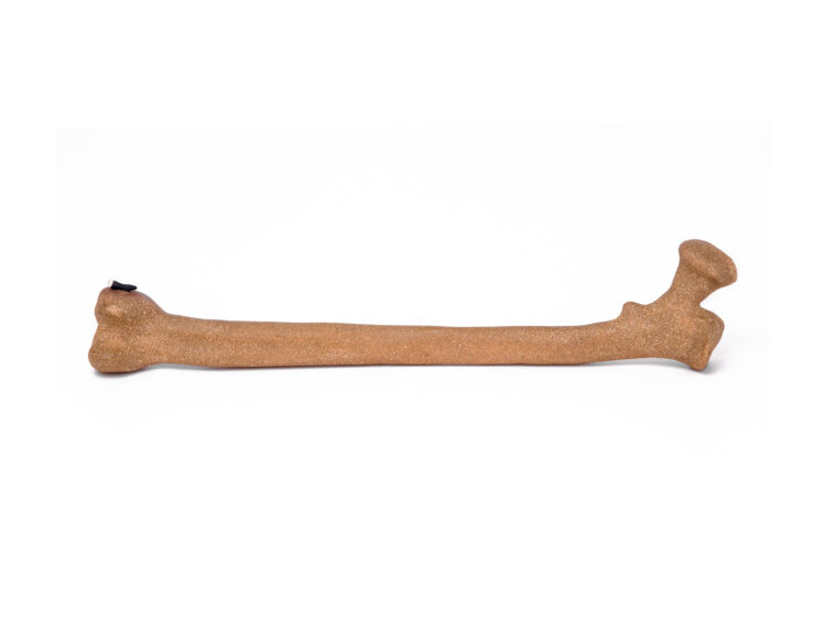 Dusadee Huntrakul. Femur, 2022