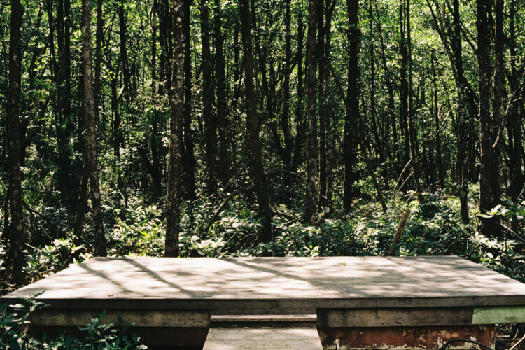 Kornkrit Jianpinidnan, Wooden Stage, 2023
