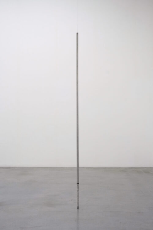 Tanatchai Bandasak, Untitled (non-dormant), 2024