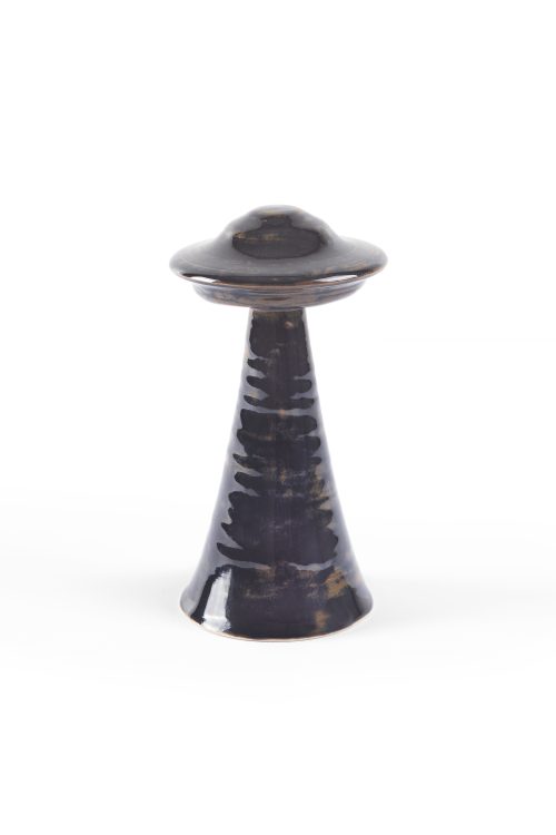 Dusadee Huntrakul, UAP/Mushroom (Black and Brown), 2022
