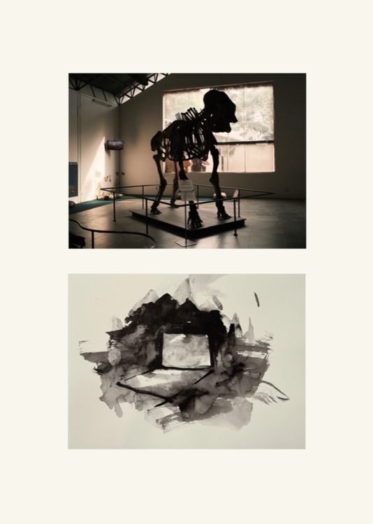 Apichatpong Weerasethakul, Elephas, Before Light, 2026