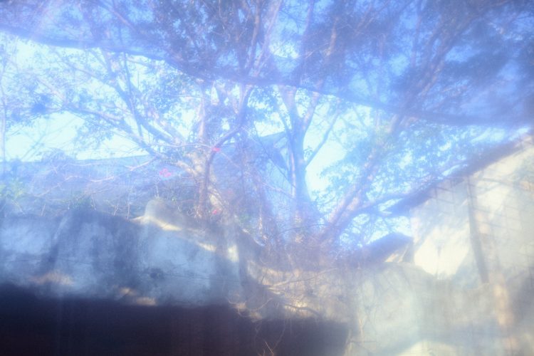Harit Srikhao, Mellow Window, 2024
