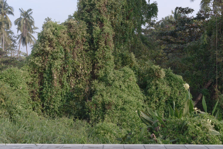 Miti Ruangkritya, Empty Lot, 2016
