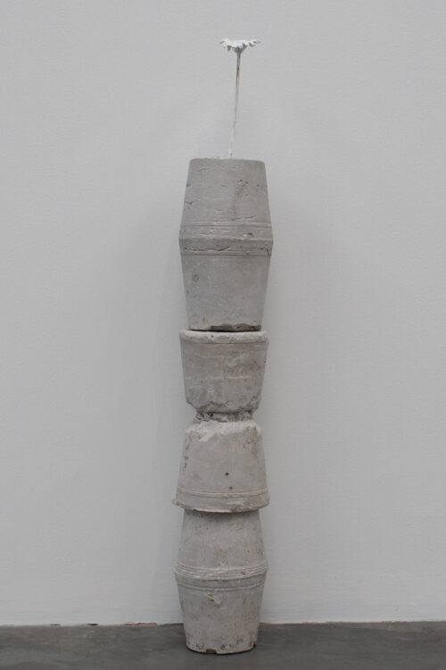 Tae Parvit, History of Flower , 2018