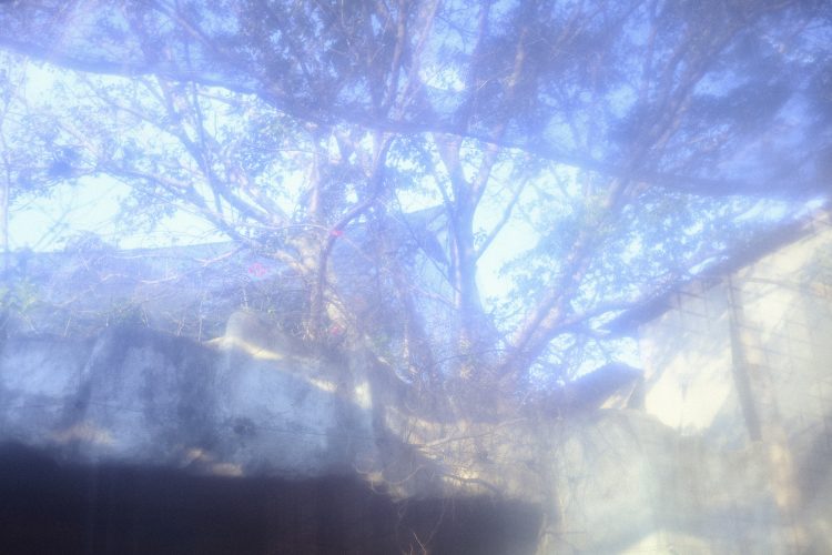 Harit Srikhao, Mellow Window, 2024