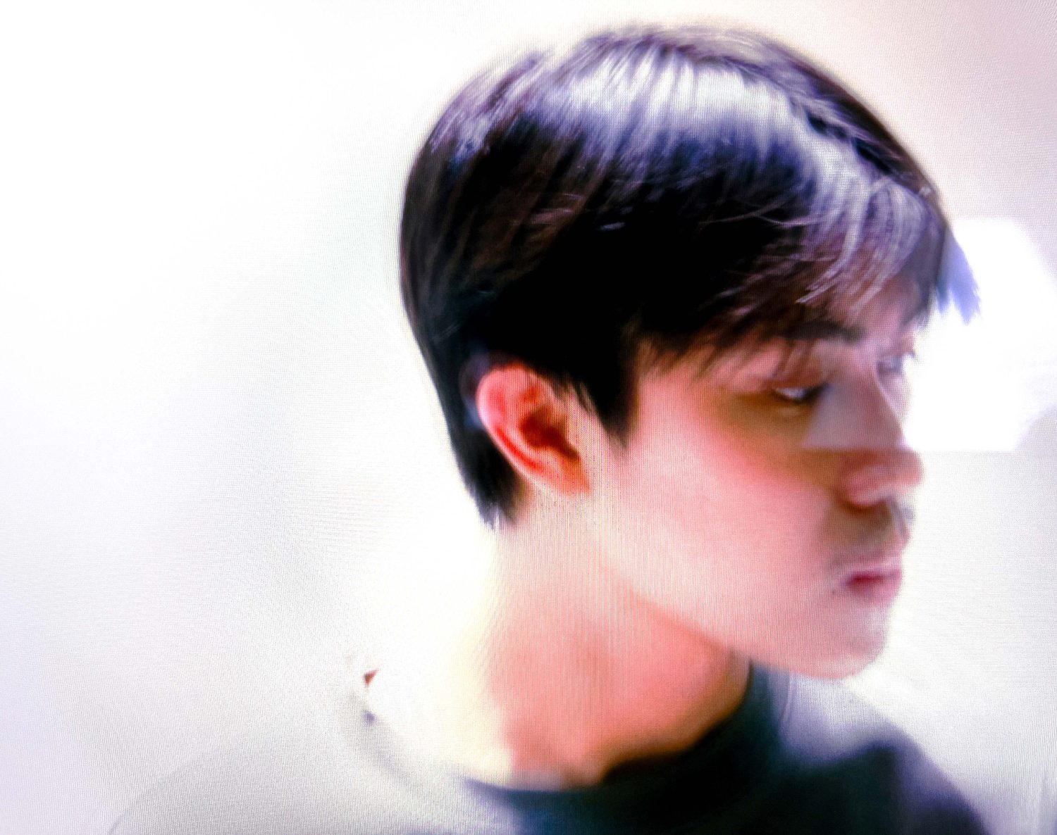 Exhibition's Artist